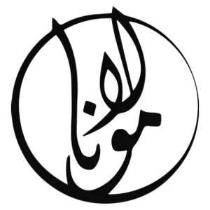 storeweb (12)